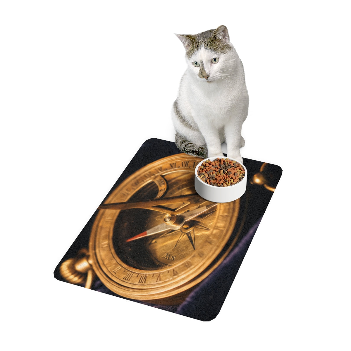 Antique Brass Sundial Compass Pet Food Mat