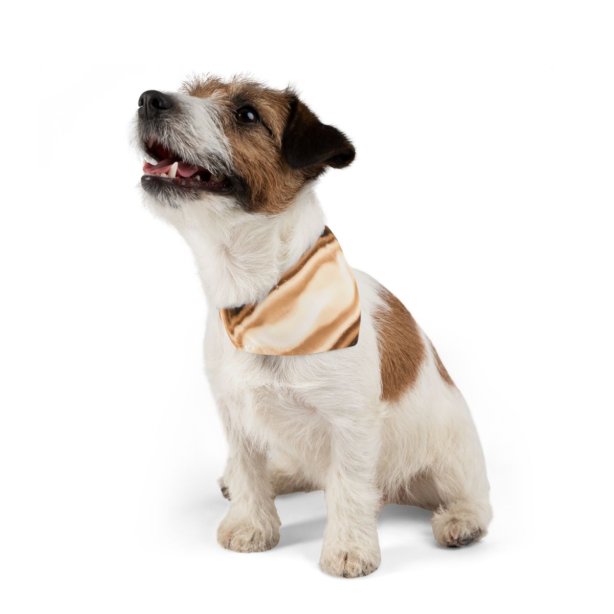 Pet Bandana Collar - Luminous Amber Sphere - Radiant Glow |...