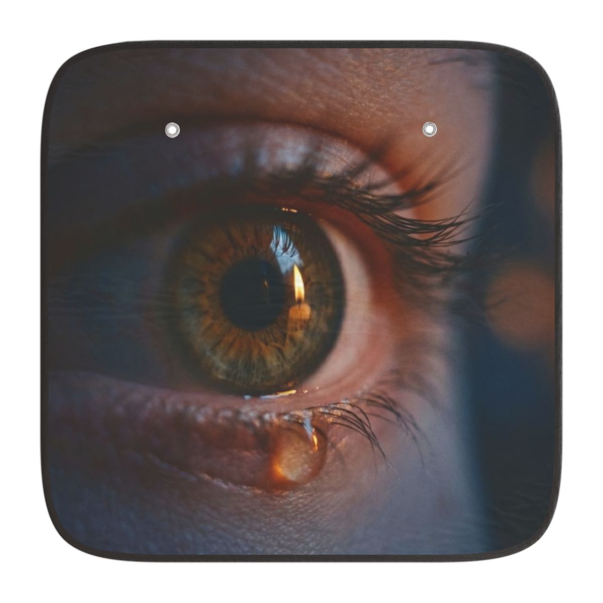 Car Sun Shades - Cinematic Gaze | Echovira Gallery