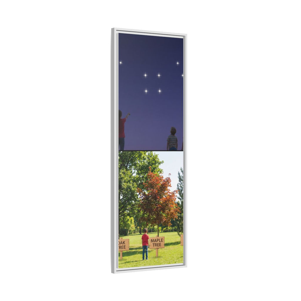 Framed Matte Canvas - Discovery — White / 1.25"