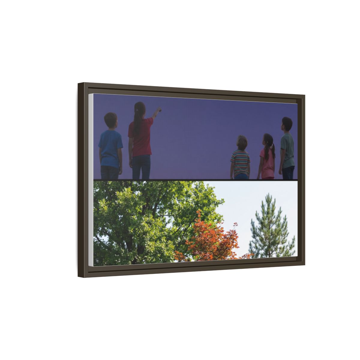 Framed Matte Canvas - Wilderness Gallery — Espresso / 1.25"