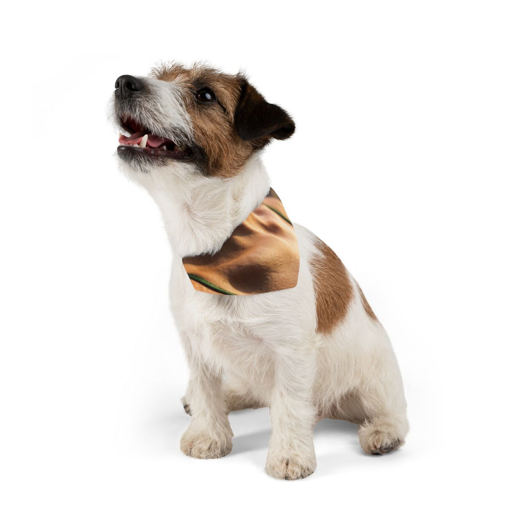 Pet Bandana Collar - Golden Hour Walk