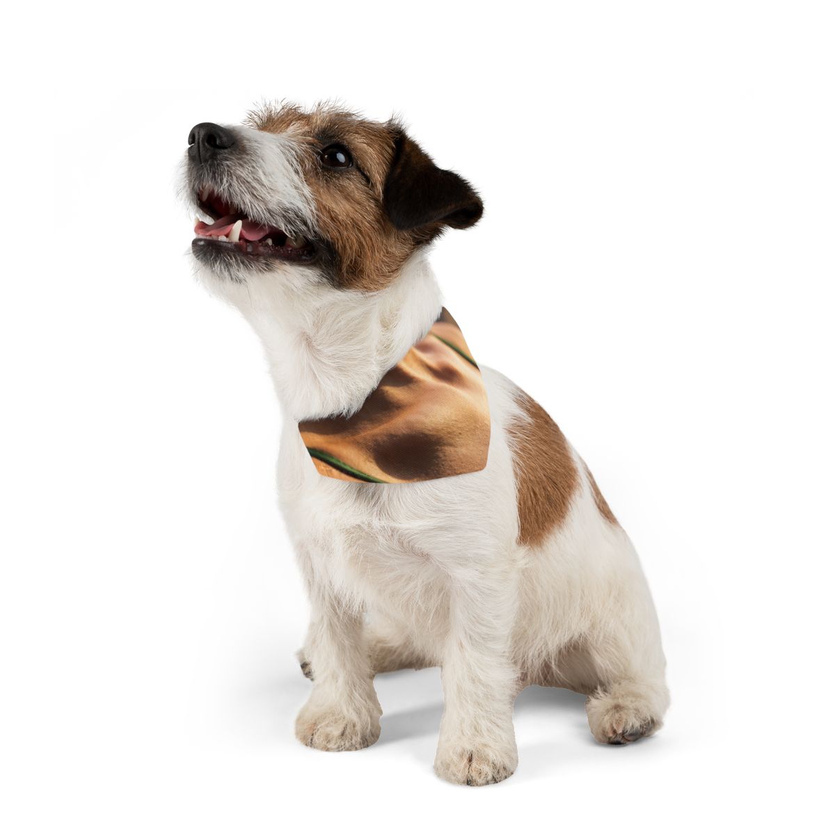 Pet Bandana Collar - Golden Hour Walk