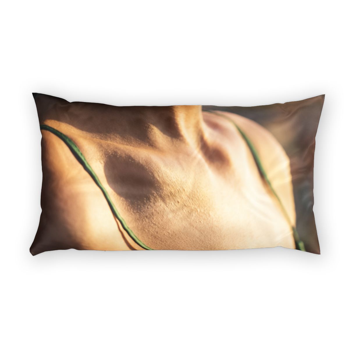 Cotton Pillow Sham - Sun-Kissed Silk