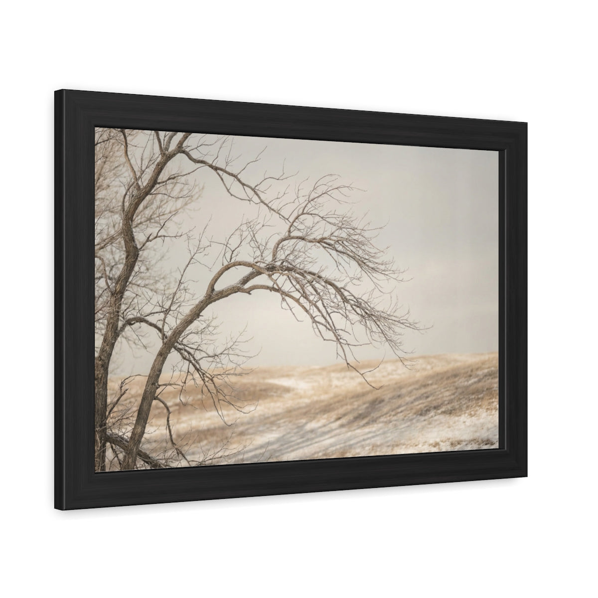 Framed Poster - Minimalist Winter Tree — Landscape