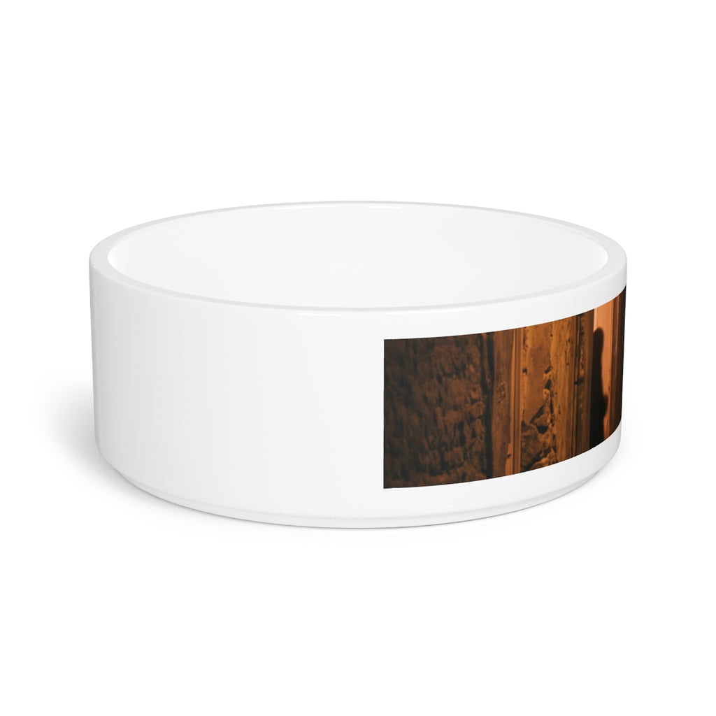 Pet Bowl - Shadowed Alleyway Mystery Art Print | Echovira...