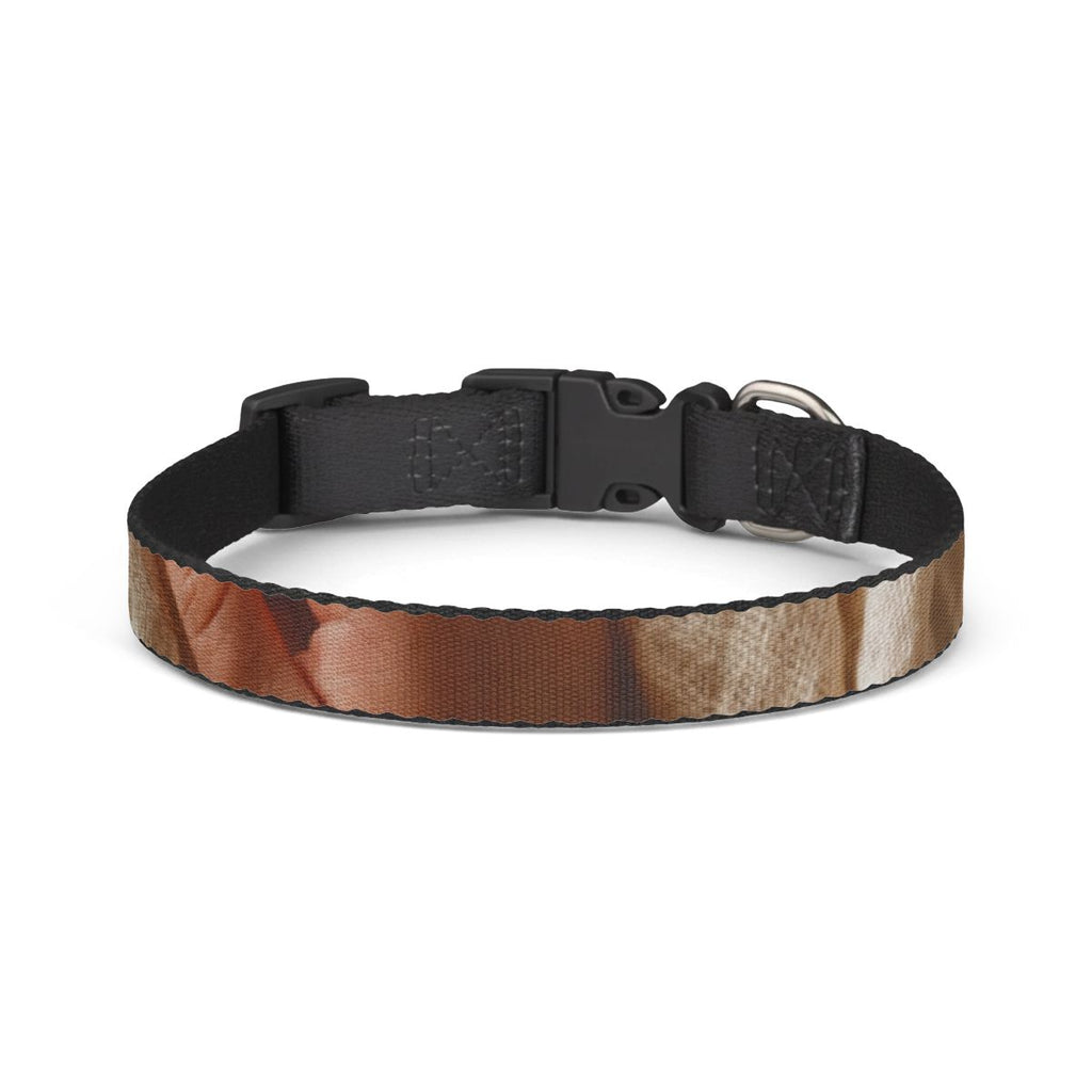 Clip-on Pet Collar - Boho Minimalist