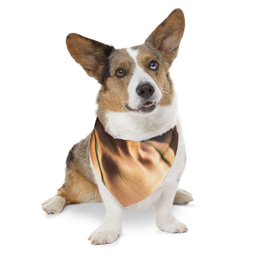 Pet Bandana Collar - Golden Hour Walk