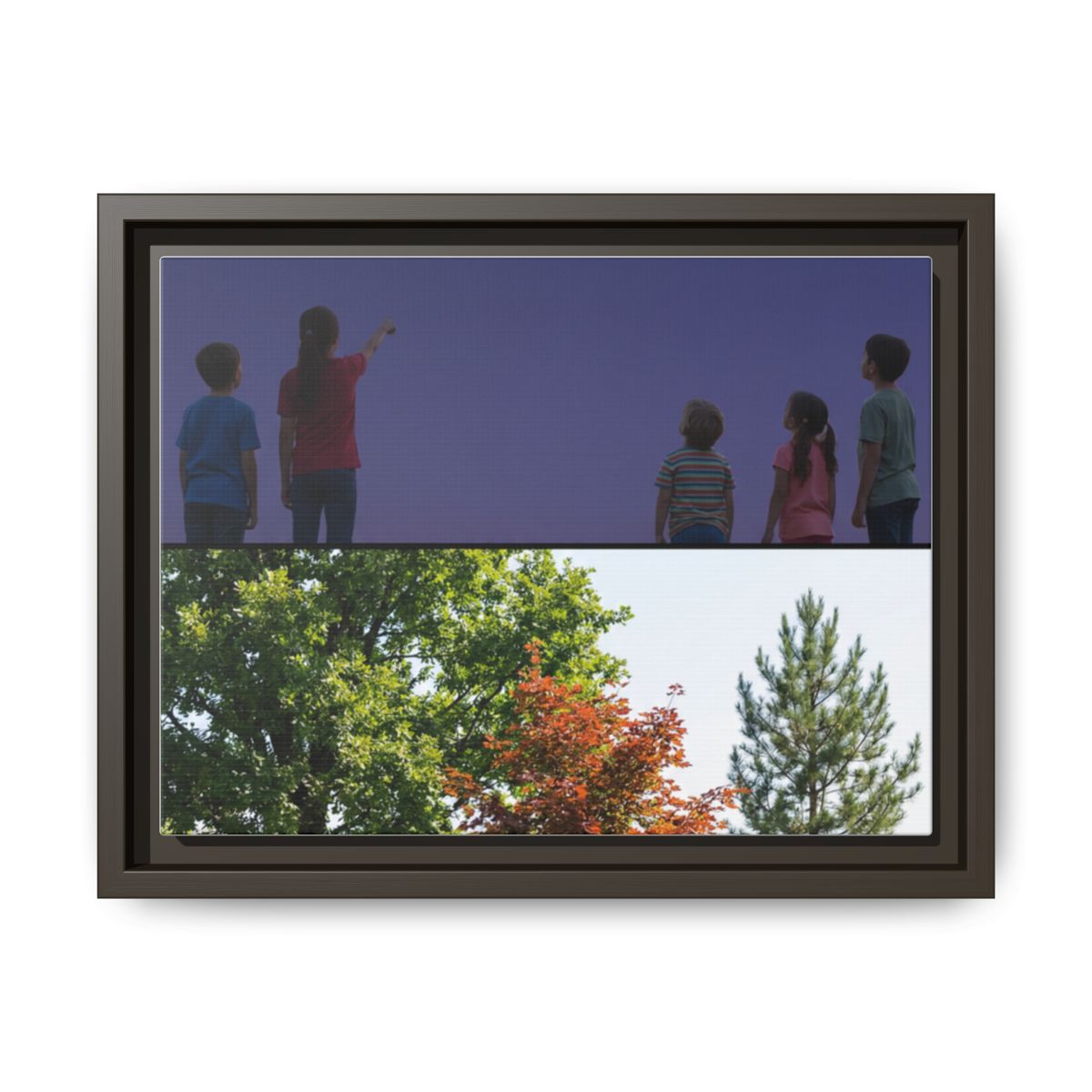 Framed Matte Canvas - Wilderness Gallery — Espresso / 1.25"