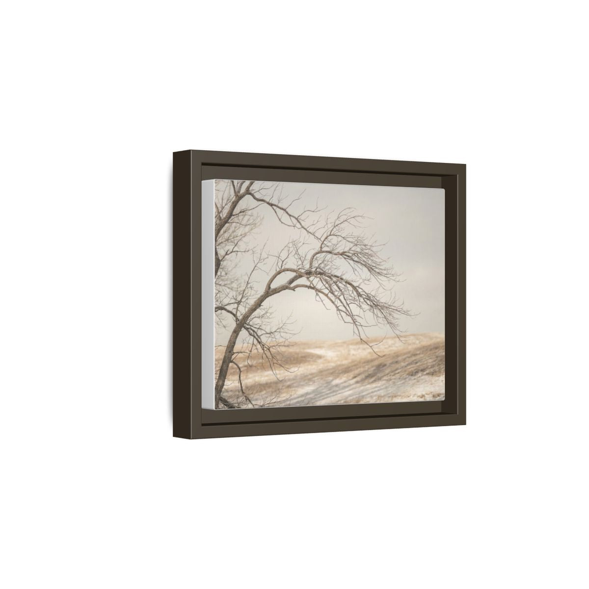 Framed Canvas Art - Minimalist Winter — Espresso / 1.25"