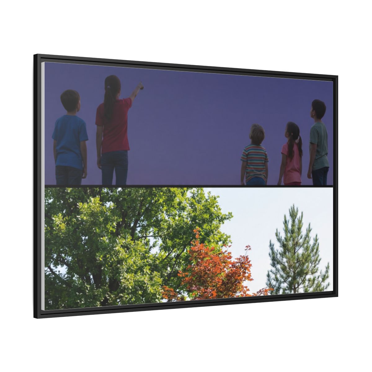 Framed Matte Canvas - Wilderness Gallery