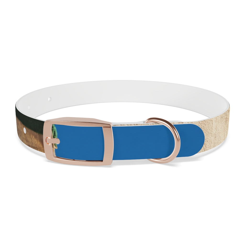 Dog Collar - Heritage Pride