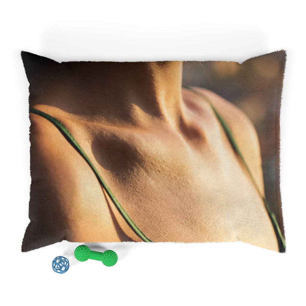 Pet Bed - Cinematic Sun Slumber