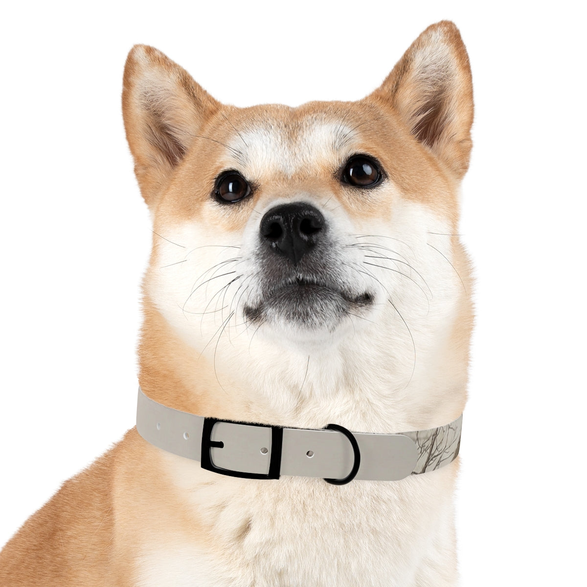 Dog Collar - Hushed Winter Landscape