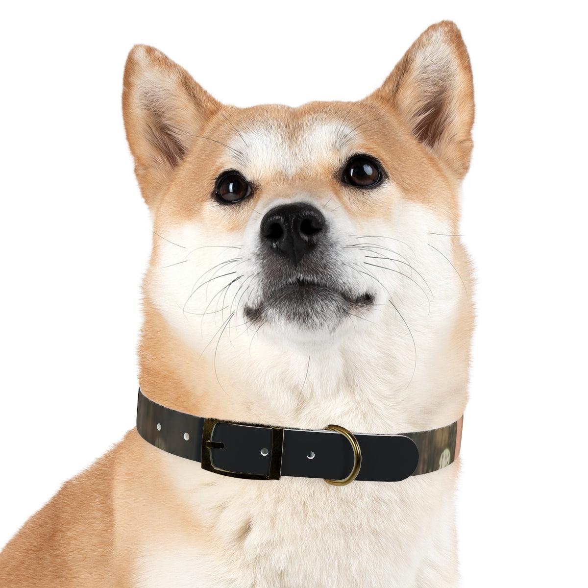 Dog Collar - Midnight Glow Style