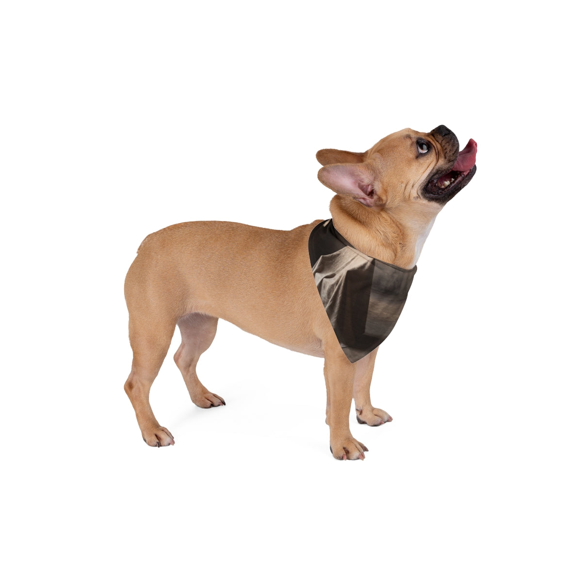Pet Bandana - Wabi Sabi Walk