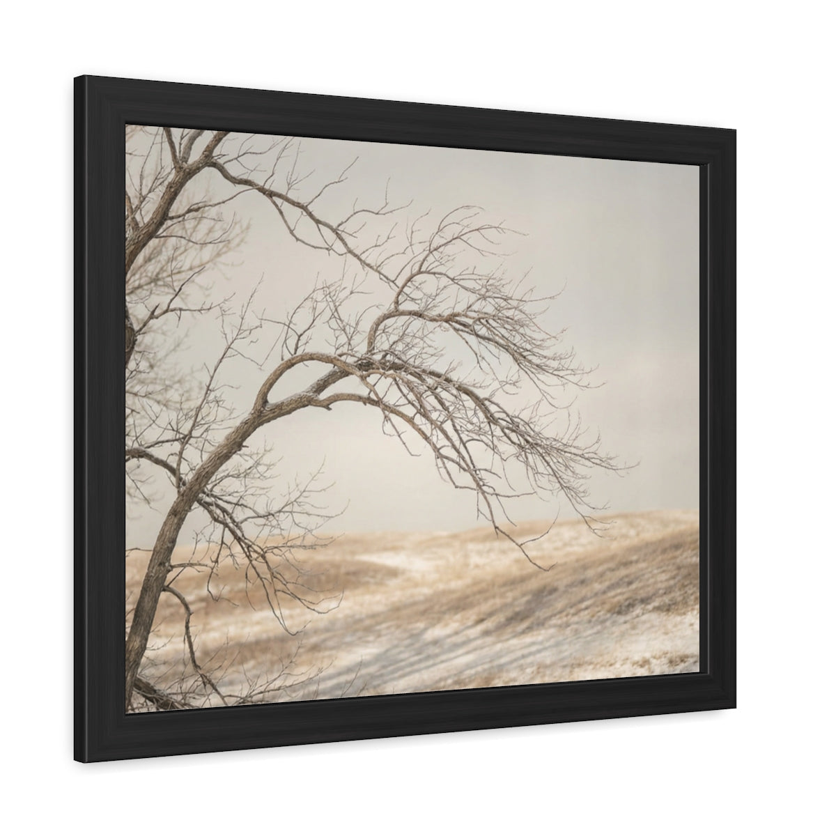 Framed Poster - Minimalist Winter Tree — Landscape