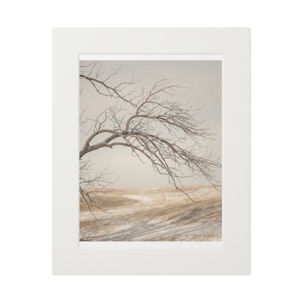 Fine Art Prints - Winter Branch Solitude Landscape —... |...