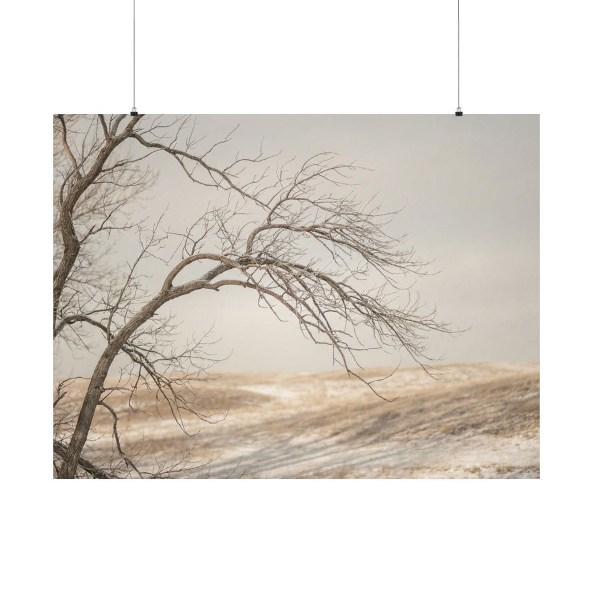 Matte Horizontal Posters - Winter Branch Solitude Landscape...