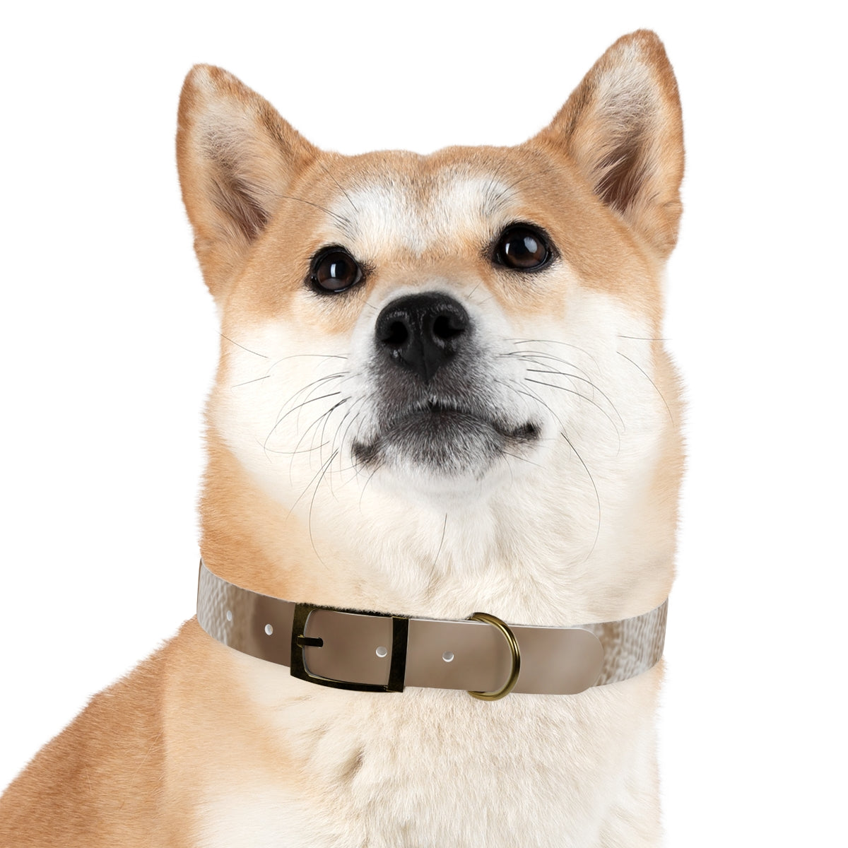 Dog Collar - Earth Toned Pet Style