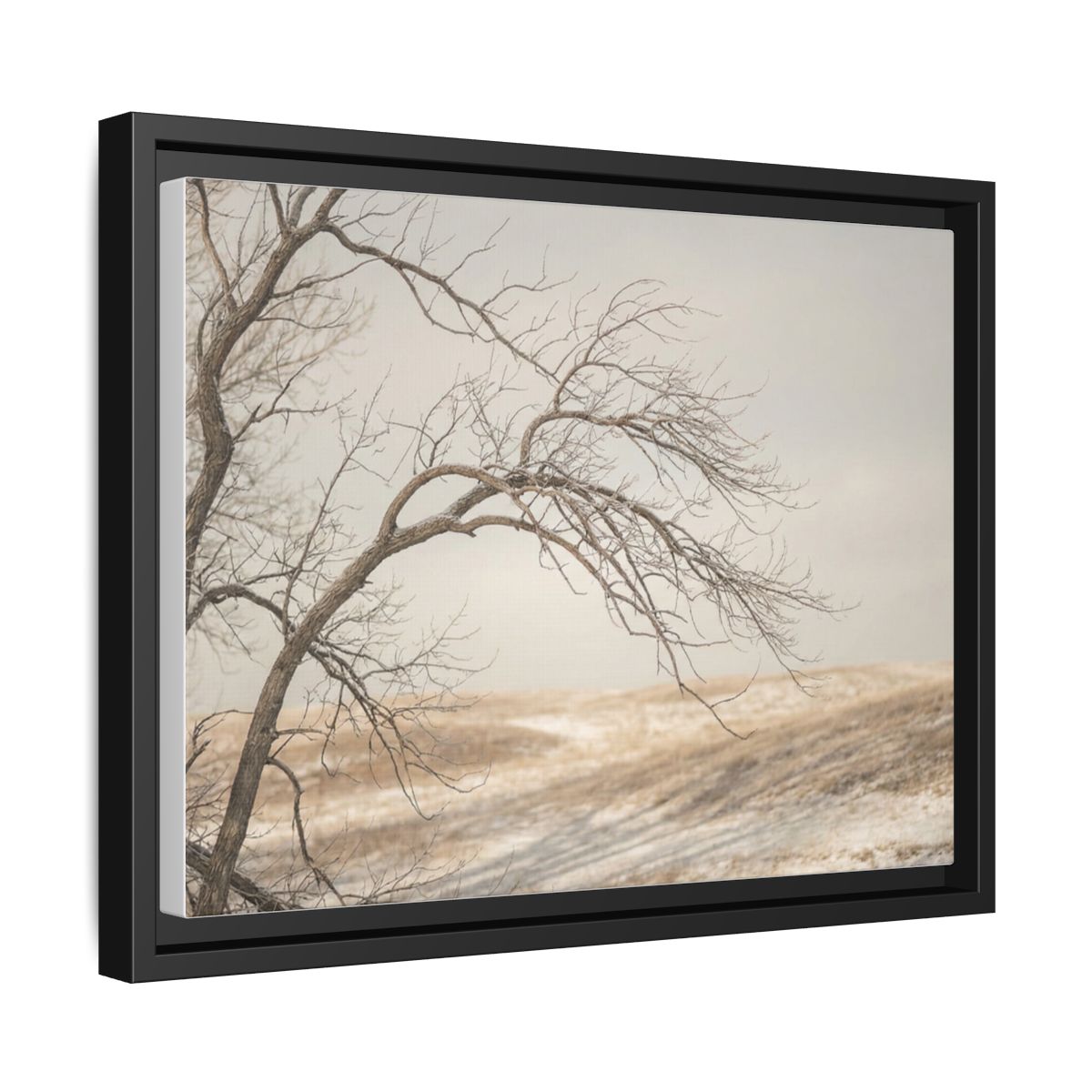 Framed Canvas Art - Minimalist Winter — Black / 1.25"