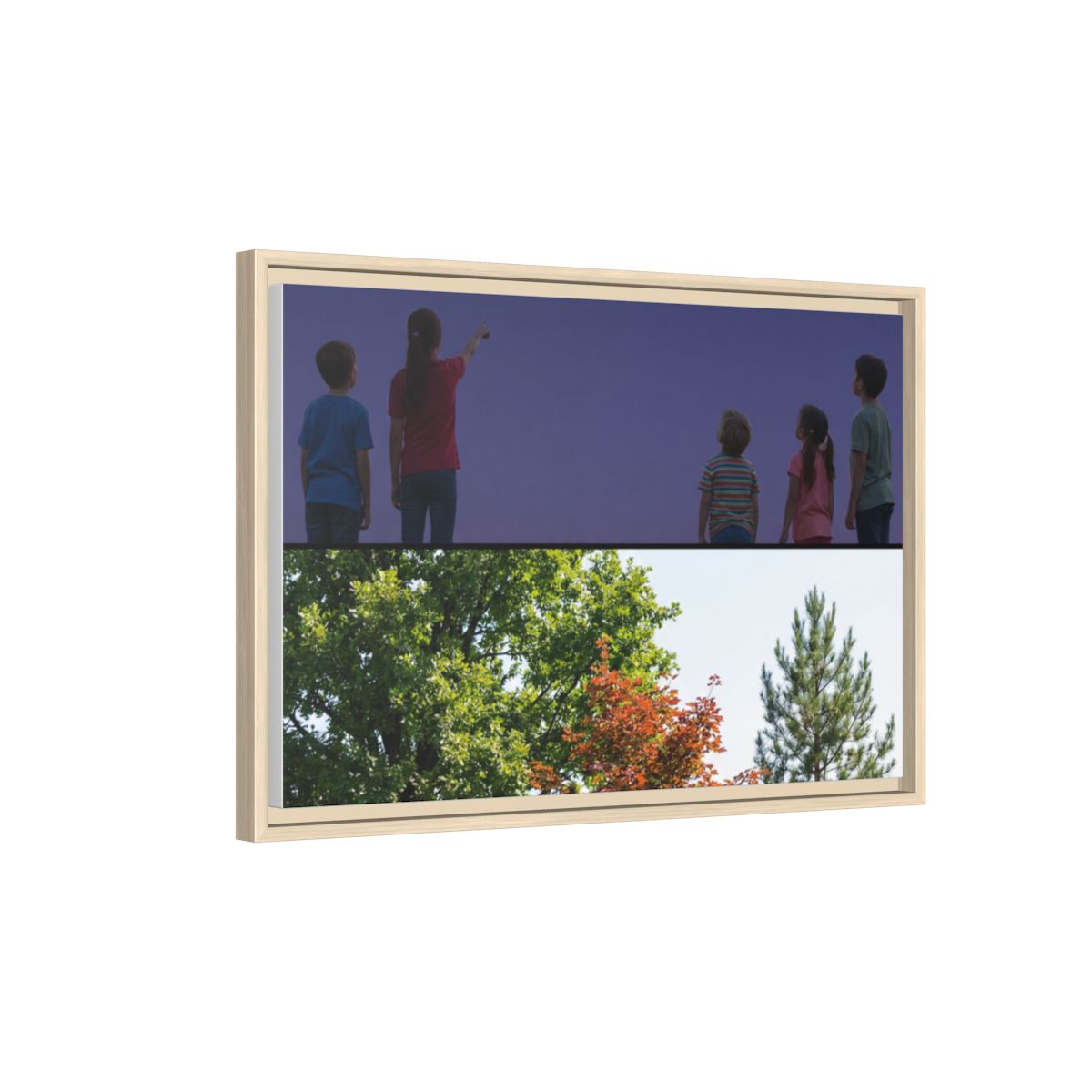 Matte Canvas, Framed - Constellation Woods