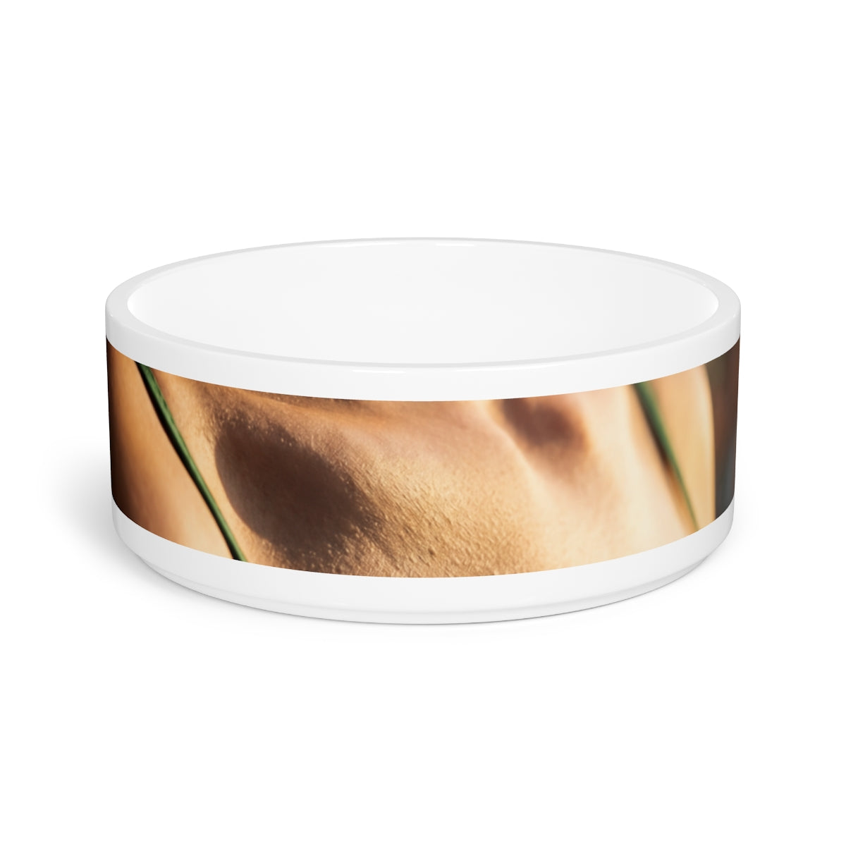 Golden Hour Pet Bowl - Elegant Emerald Feeder | Echovira...