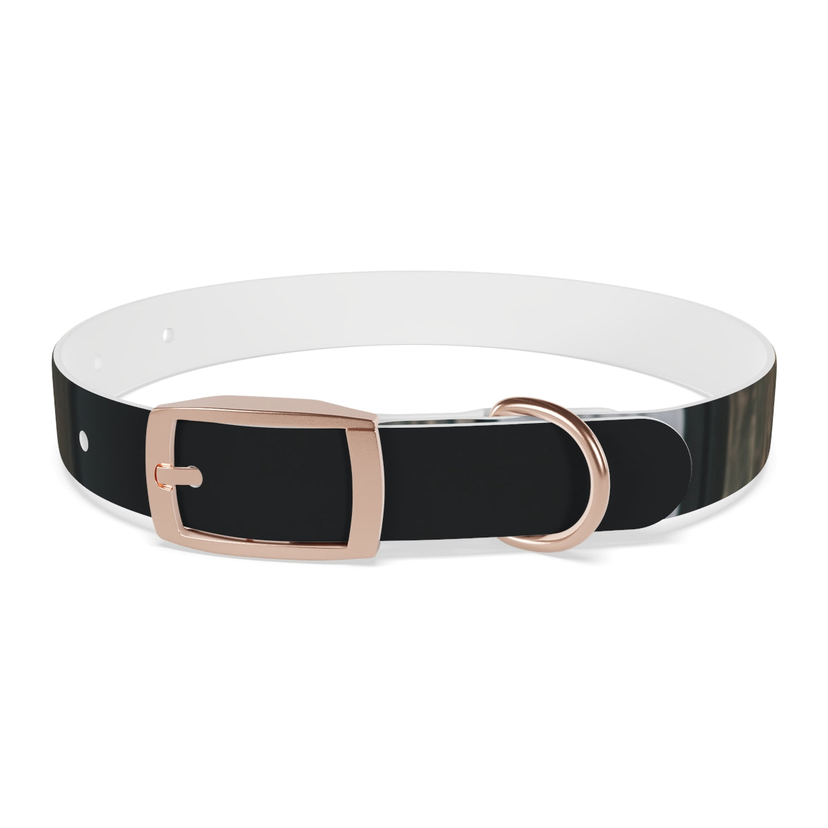 Dog Collar - Midnight Glow Style