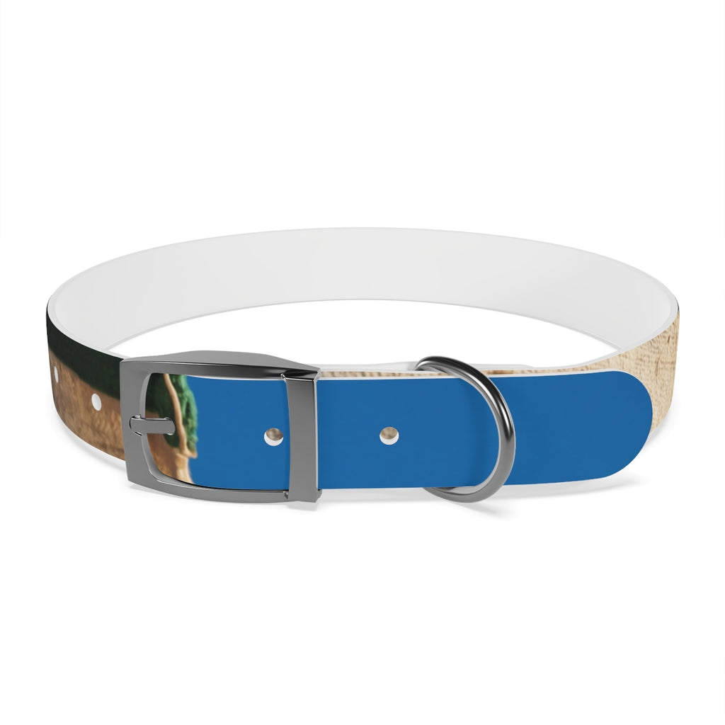 Dog Collar - Heritage Pride