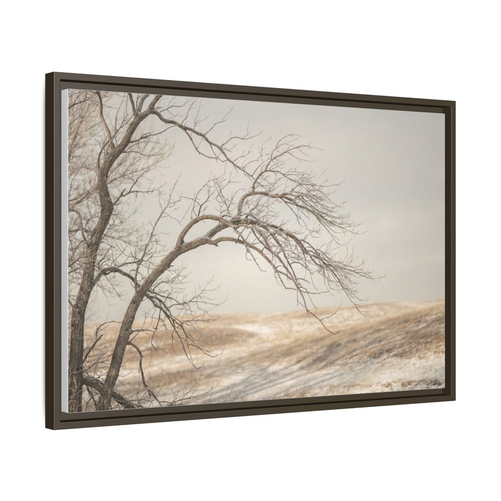 Framed Canvas Art - Minimalist Winter — Espresso / 1.25"