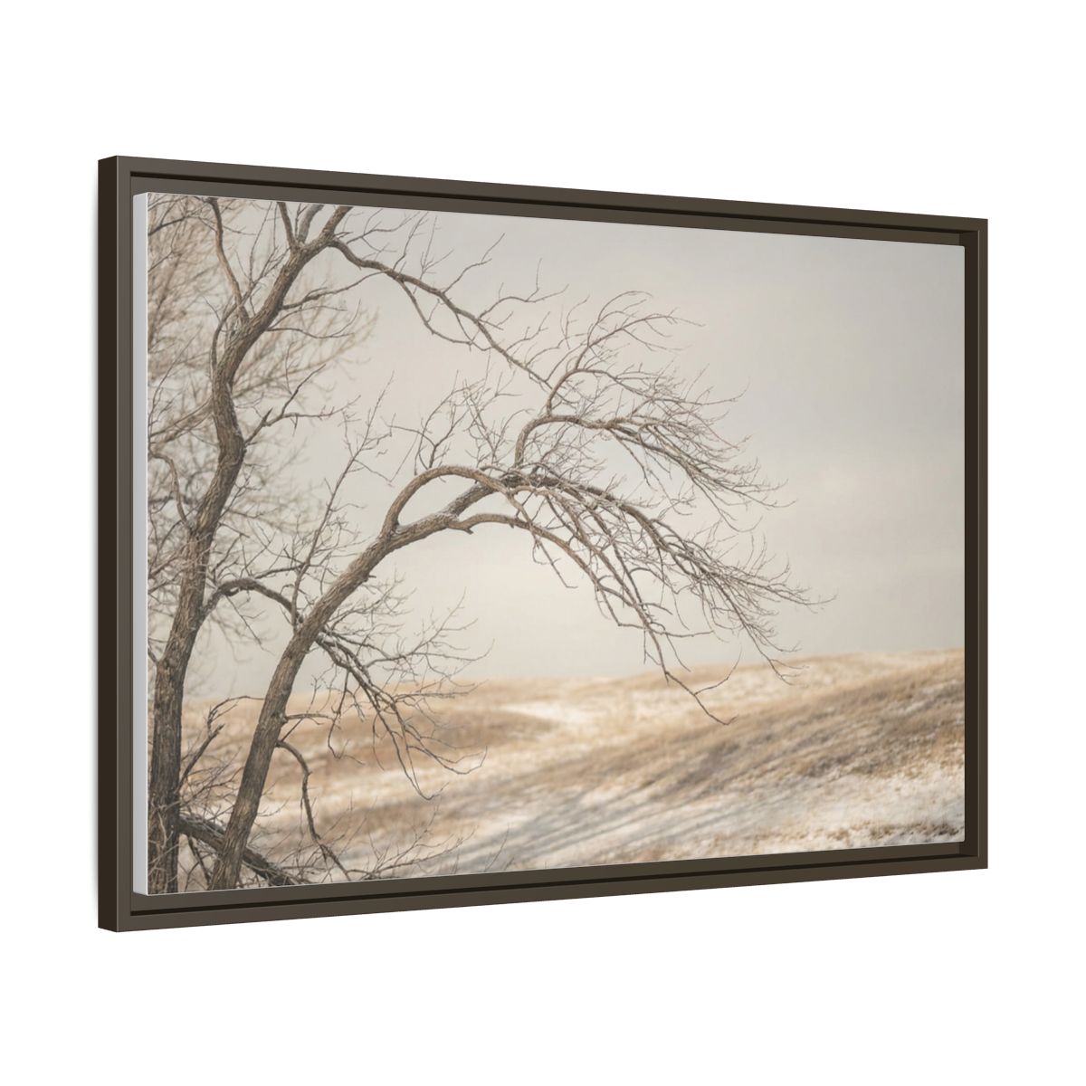 Framed Canvas Art - Minimalist Winter — Espresso / 1.25"