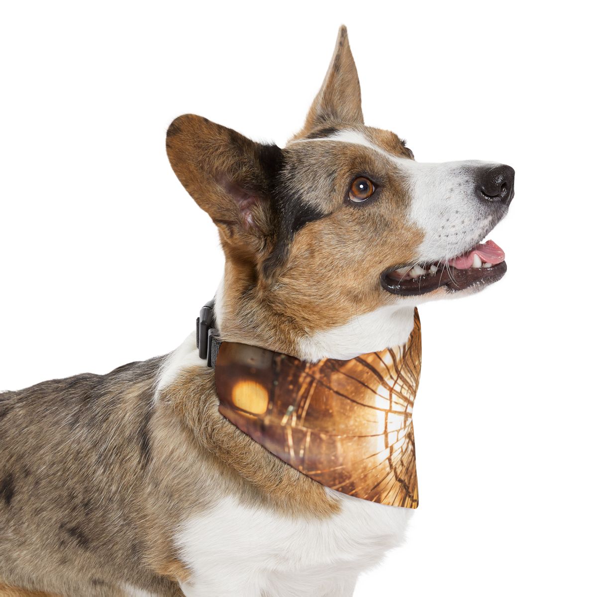 Pet Bandana Collar - Geometric Glow