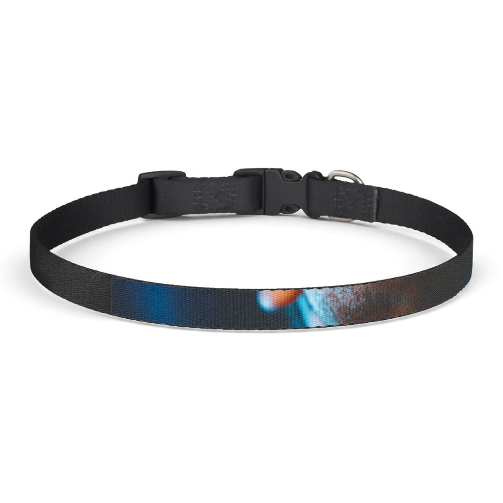 Clip-on Pet Collar - Cinematic Strut