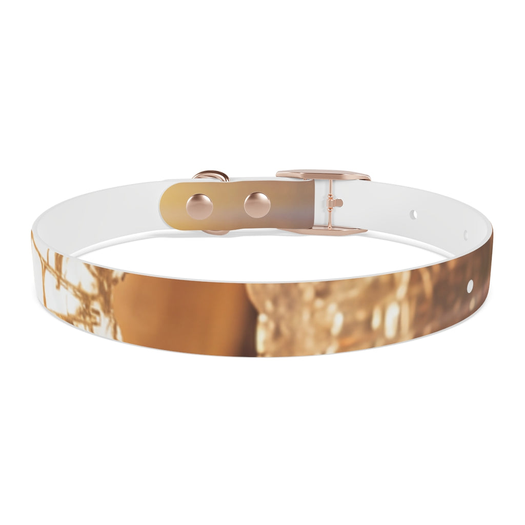Dog Collar - Shattered Light Aesthetic