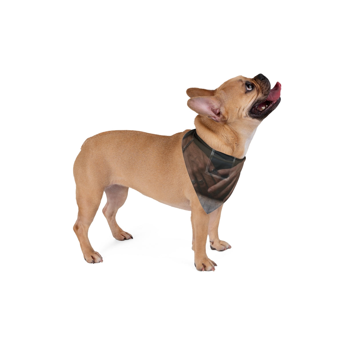Pet Bandana - Silent Chambers Motif | Echovira Gallery