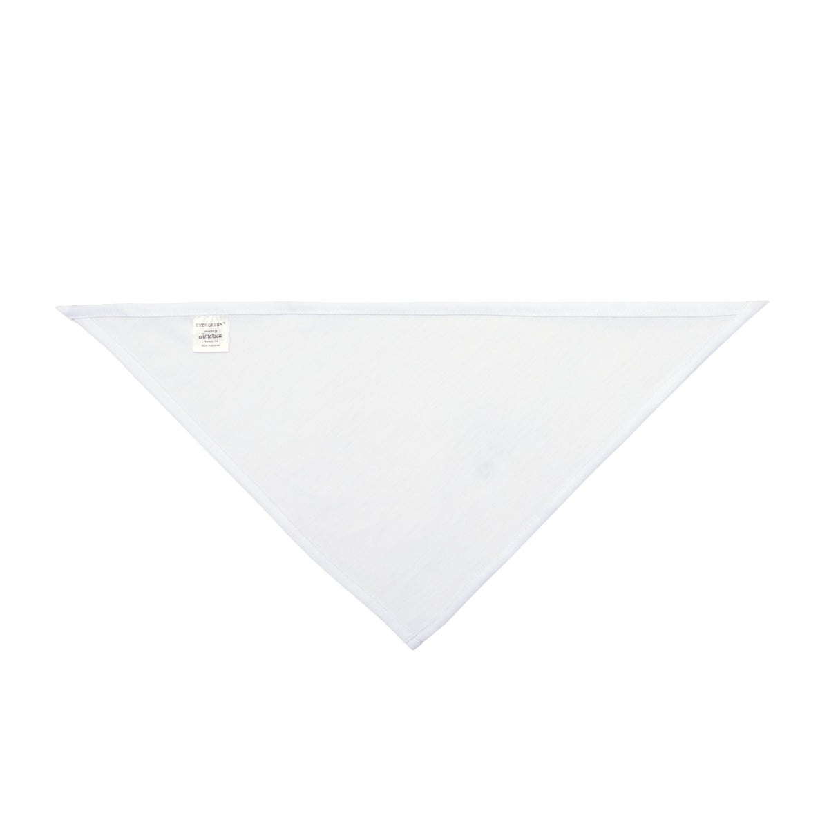Pet Bandana - Liminal Corridor Fog Art Print | Echovira...