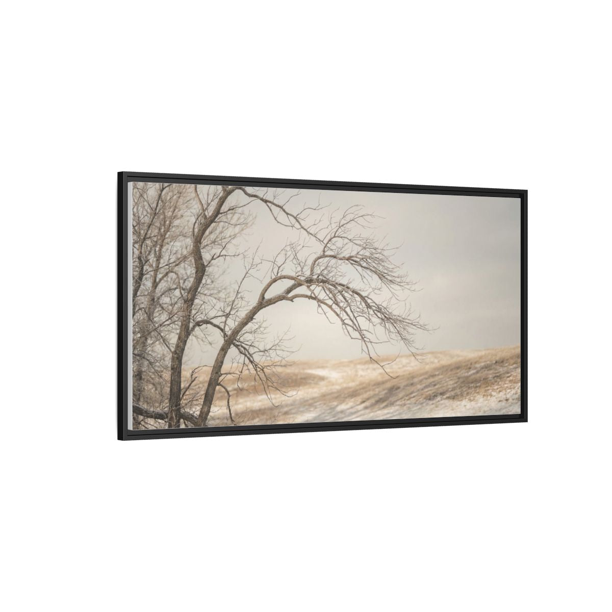 Framed Canvas Art - Minimalist Winter — Black / 1.25"