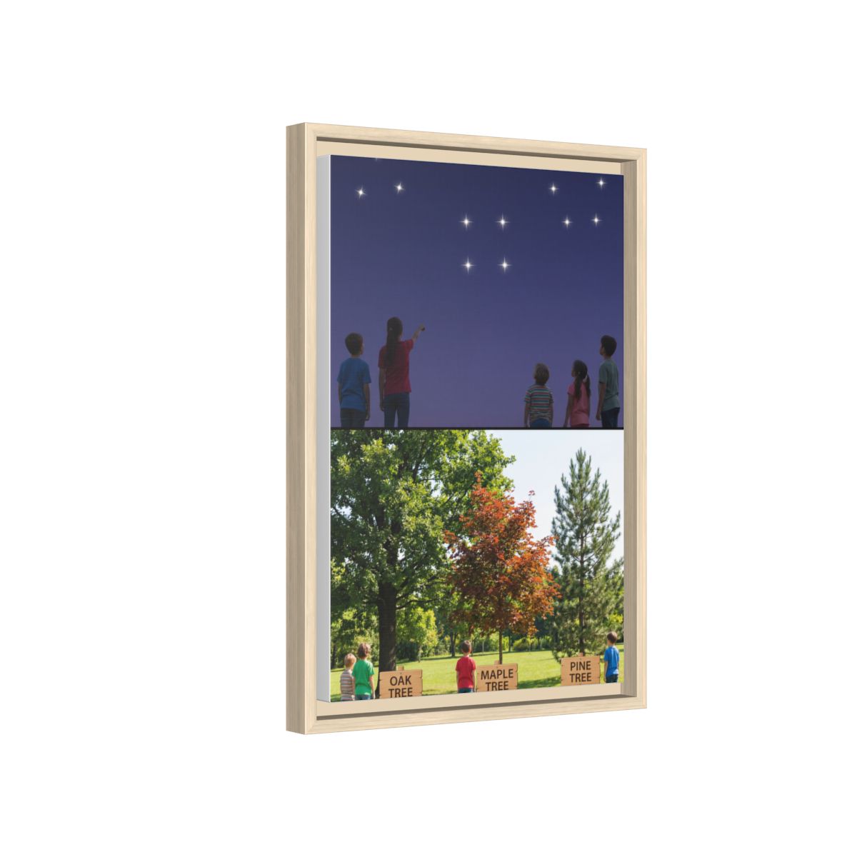 Framed Matte Canvas - Discovery — Natural / 1.25"