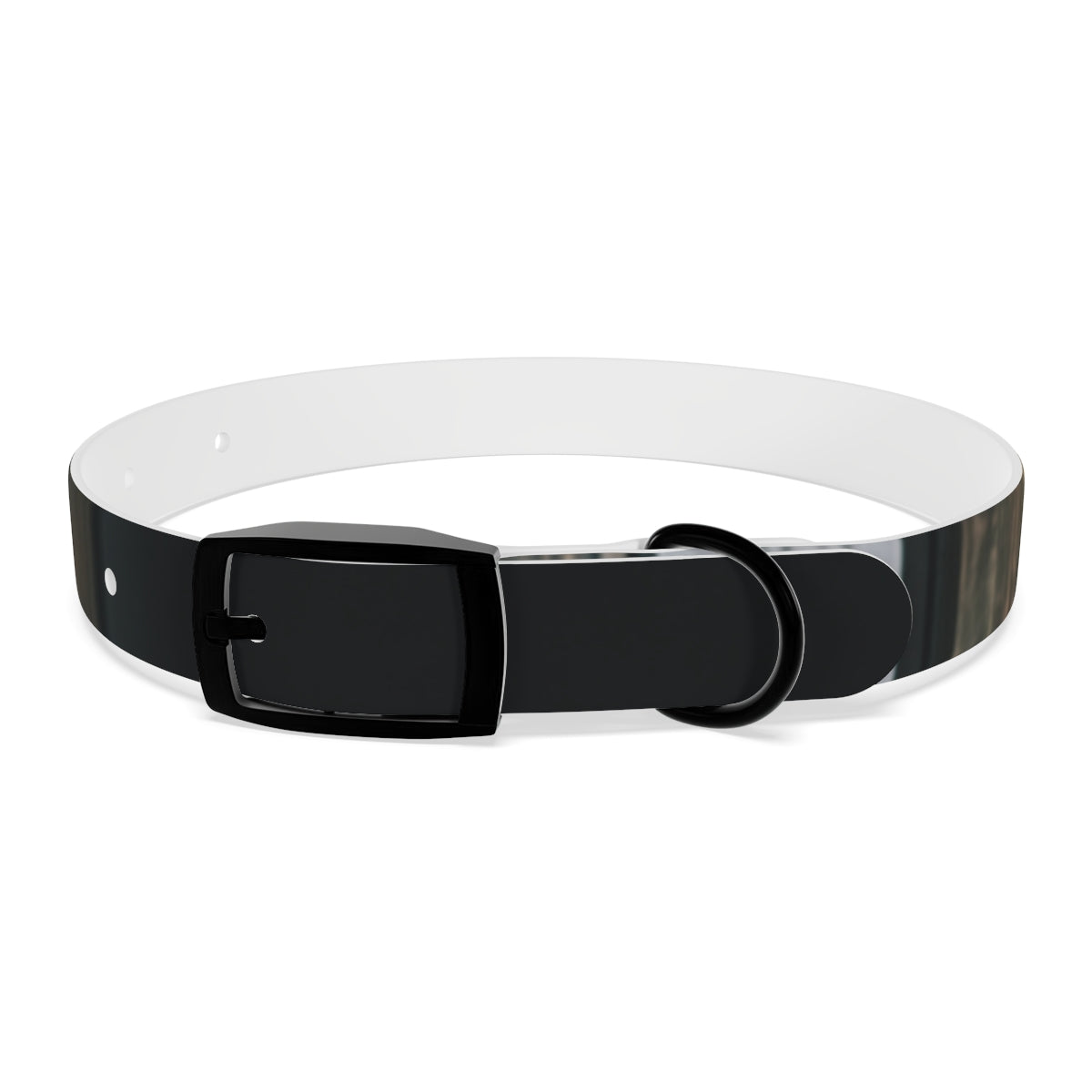 Dog Collar - Midnight Glow Style