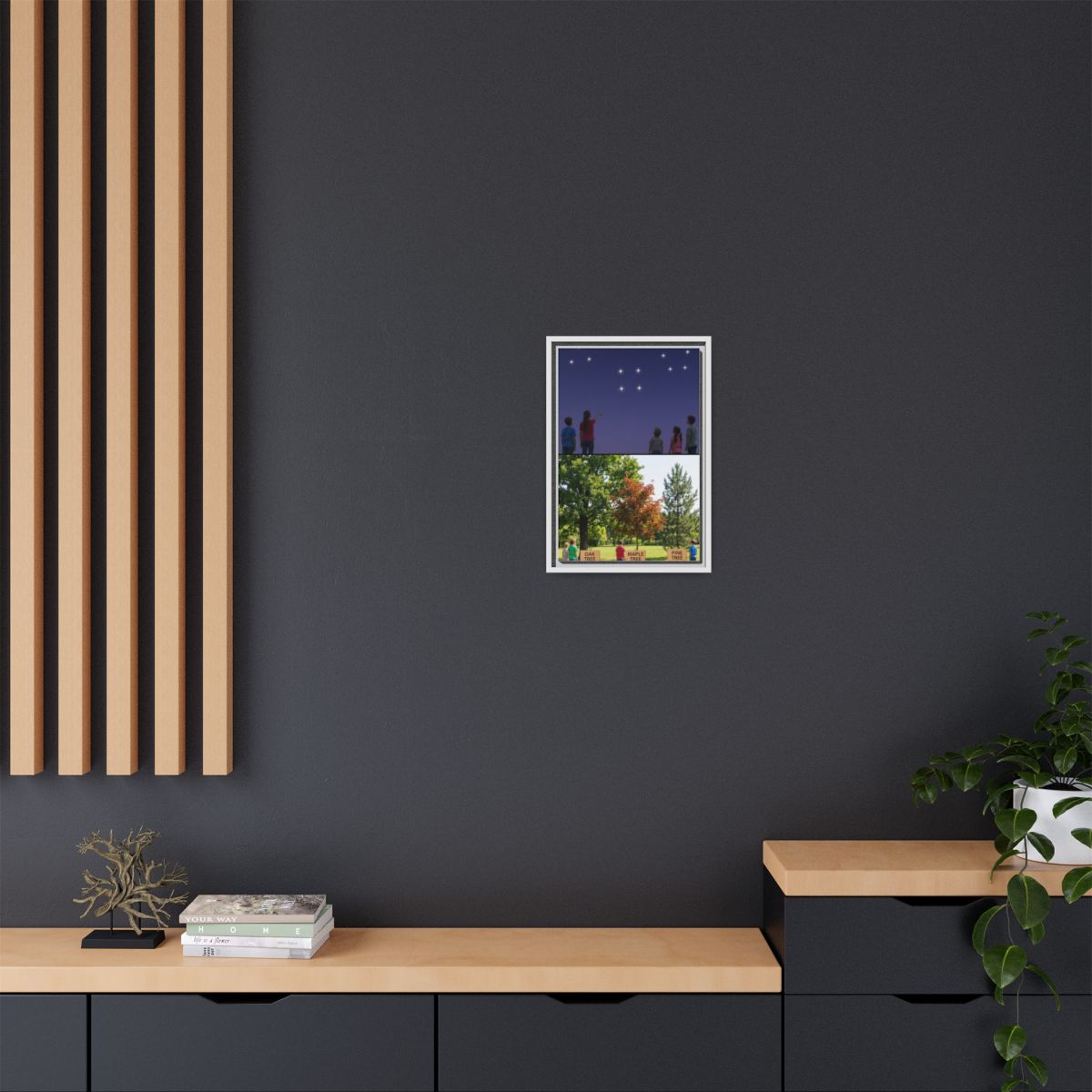 Framed Matte Canvas - Discovery — White / 1.25"