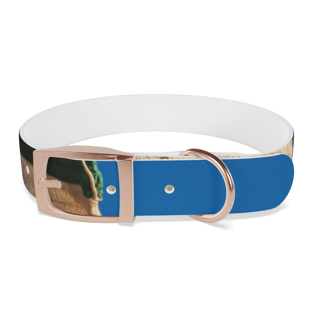 Dog Collar - Heritage Pride