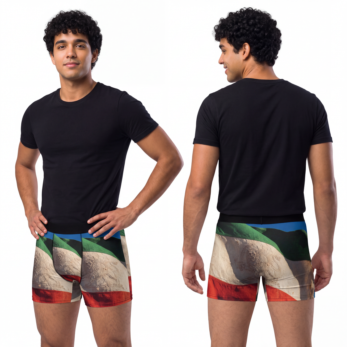 Men's Boxer Briefs - Vintage Persian Lion and Sun Flag Art |...