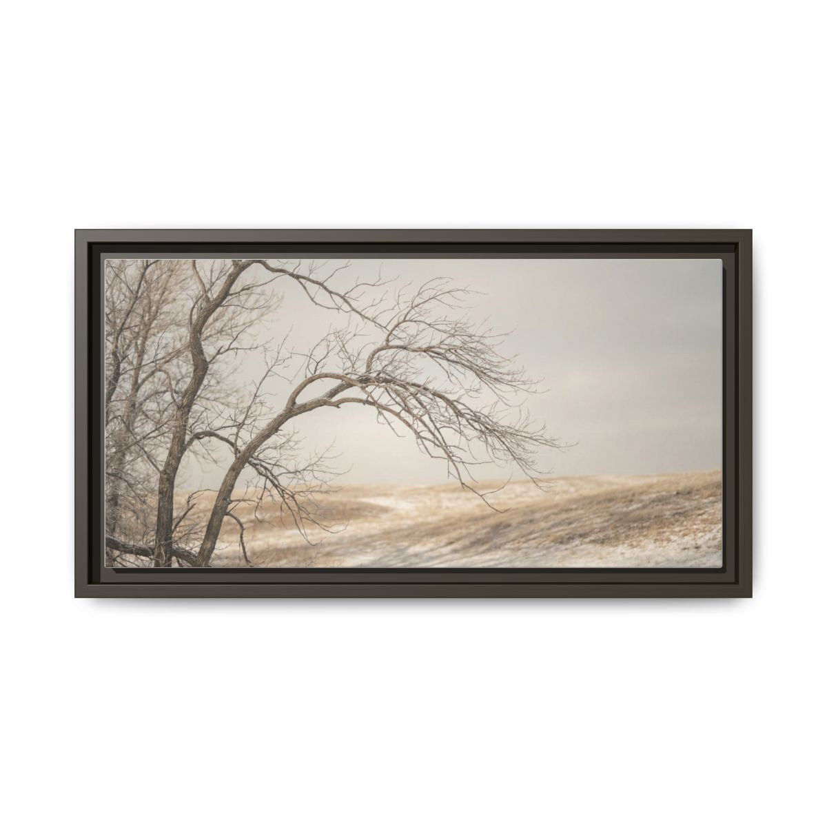 Framed Canvas Art - Minimalist Winter — Espresso / 1.25"