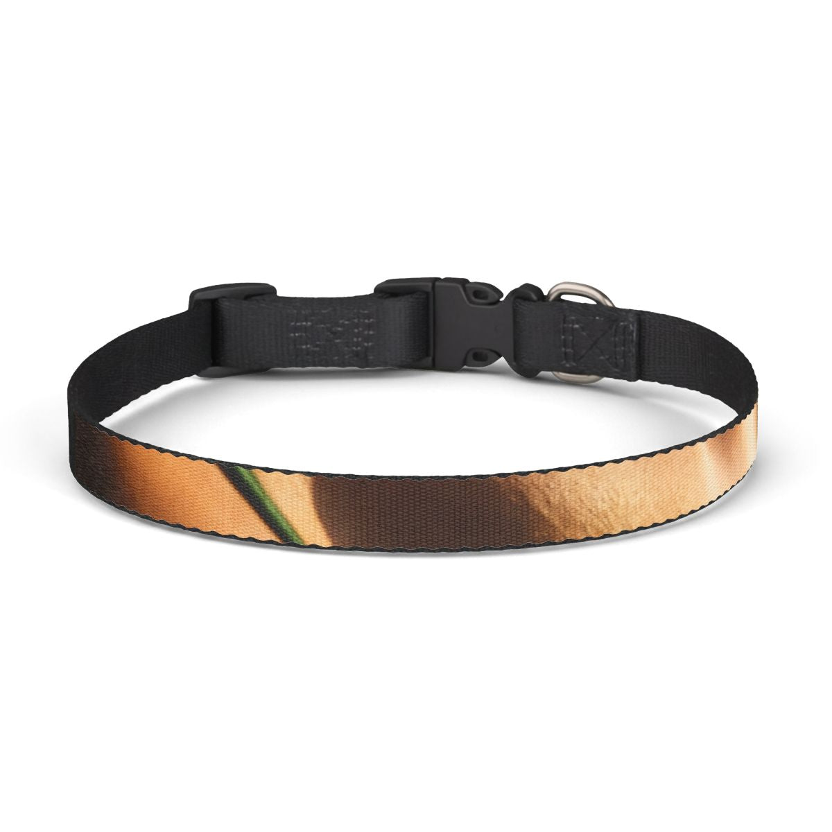 Pet Collar - Golden Hour Walk Style