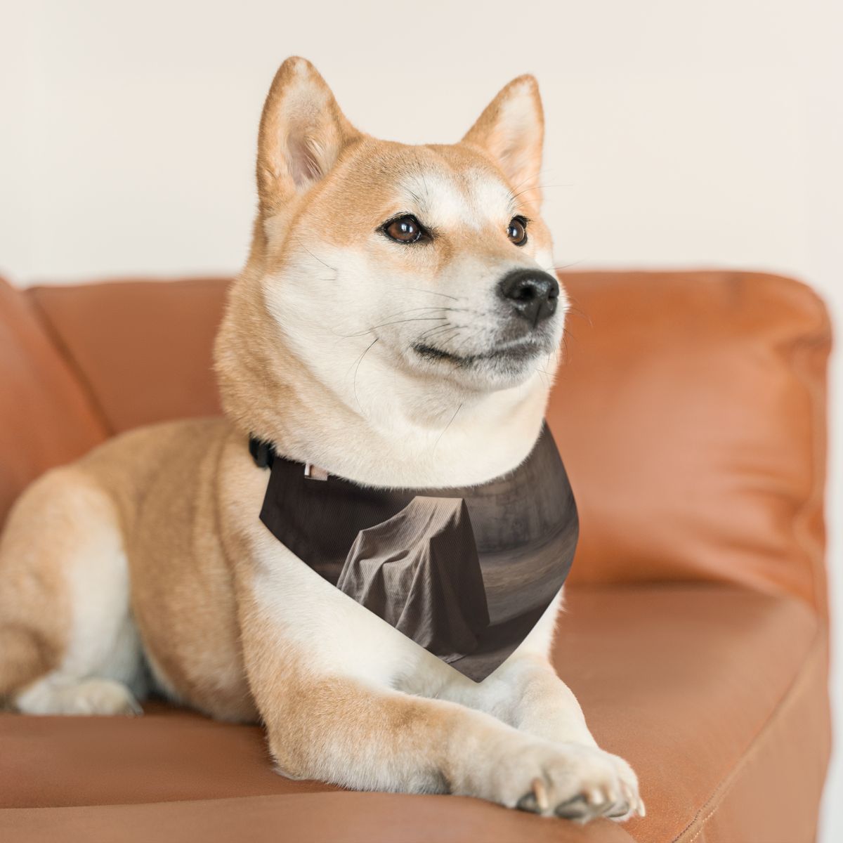 Pet Bandana Collar - Conceptual Canine