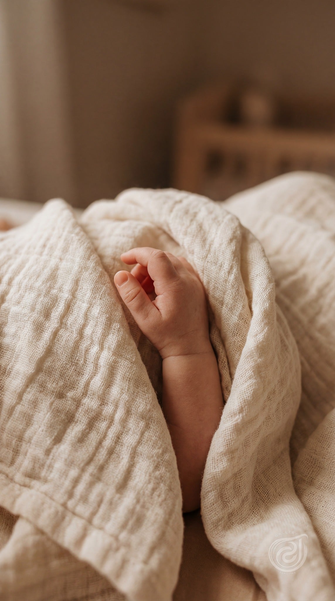 Soft Beginnings Digital Art - Neutral Decor