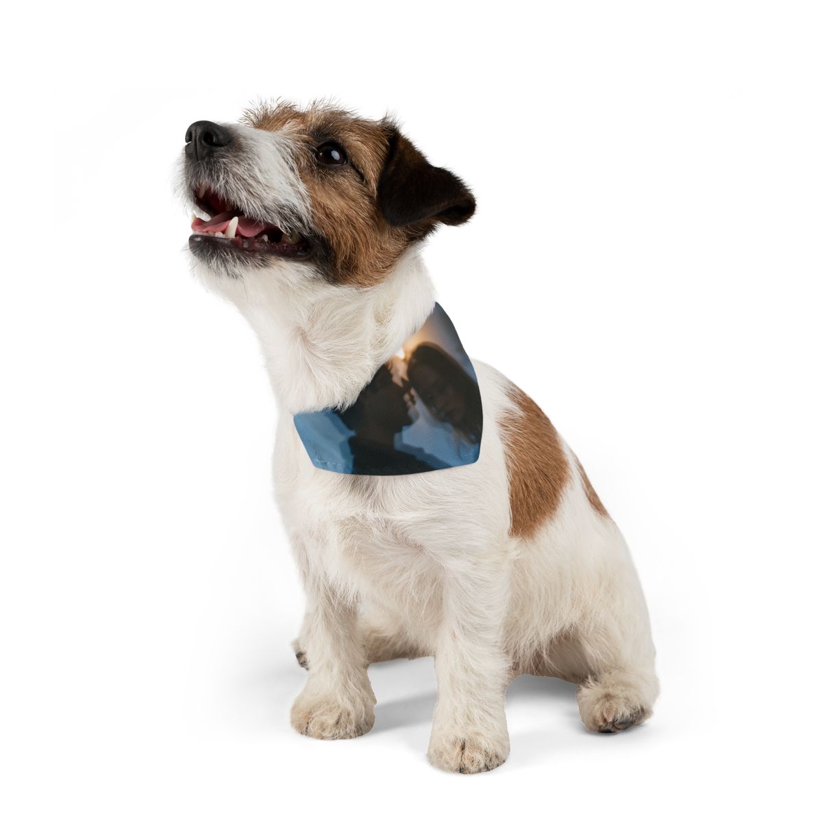 Midnight Reflections Bandana Collar - Moody Dog Collar |...