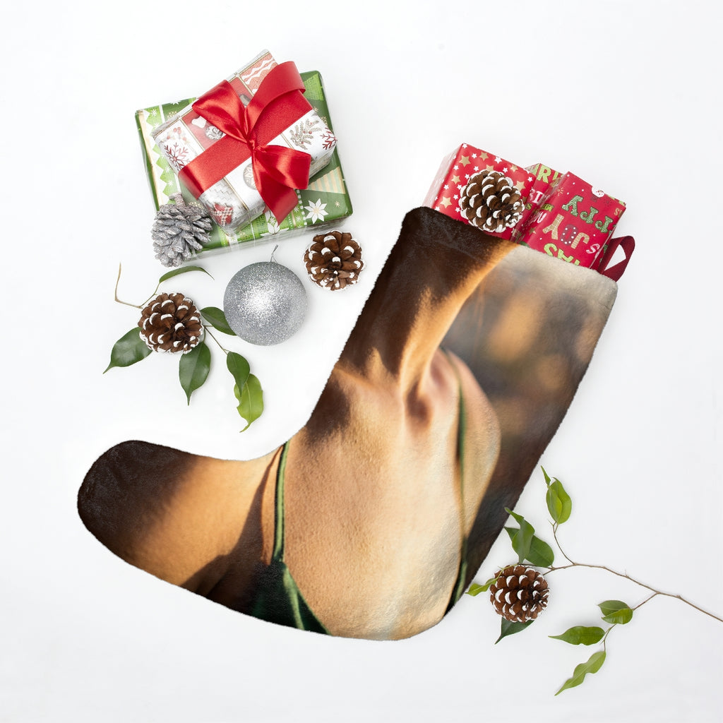 Christmas Stocking - Golden Hour Holiday