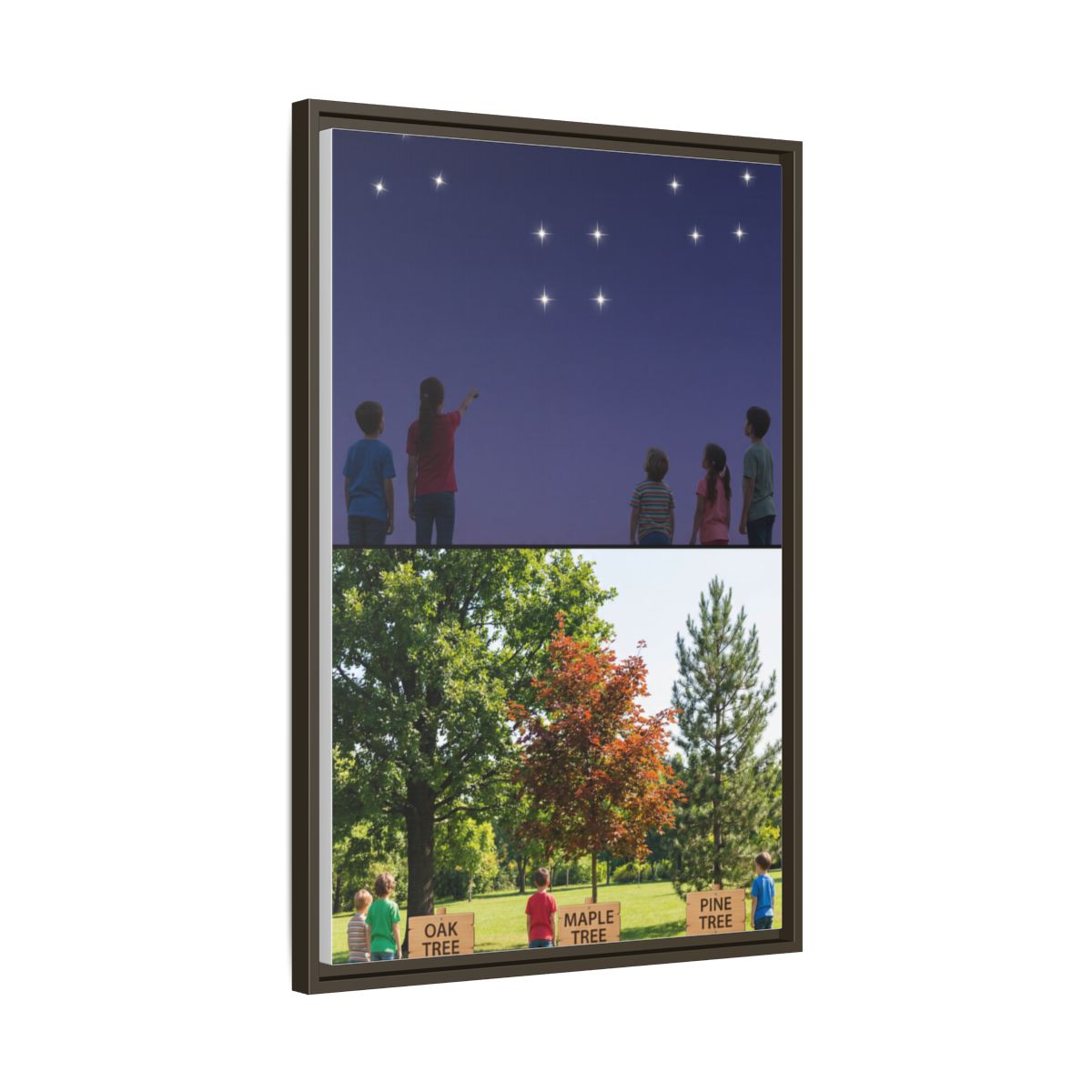 Framed Matte Canvas - Discovery — Espresso / 1.25"