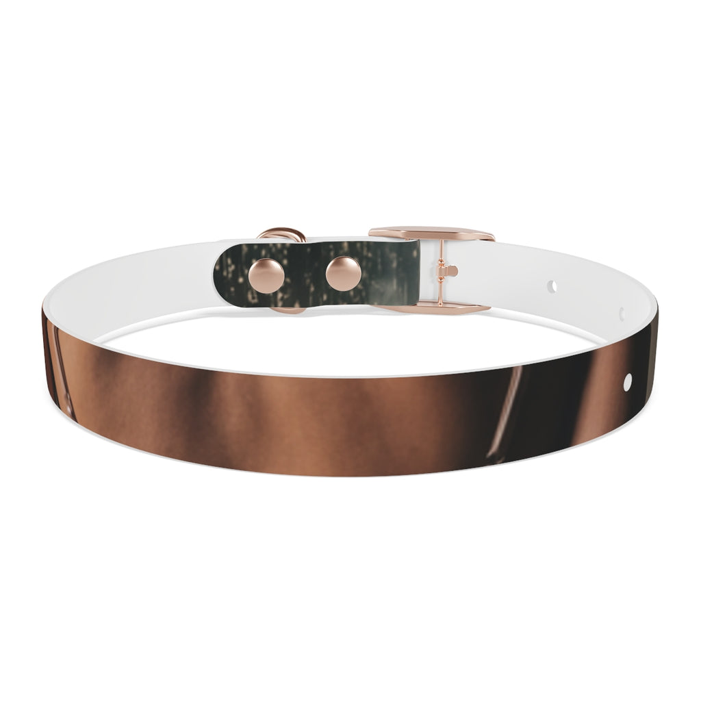 Dog Collar - Midnight Glow Style